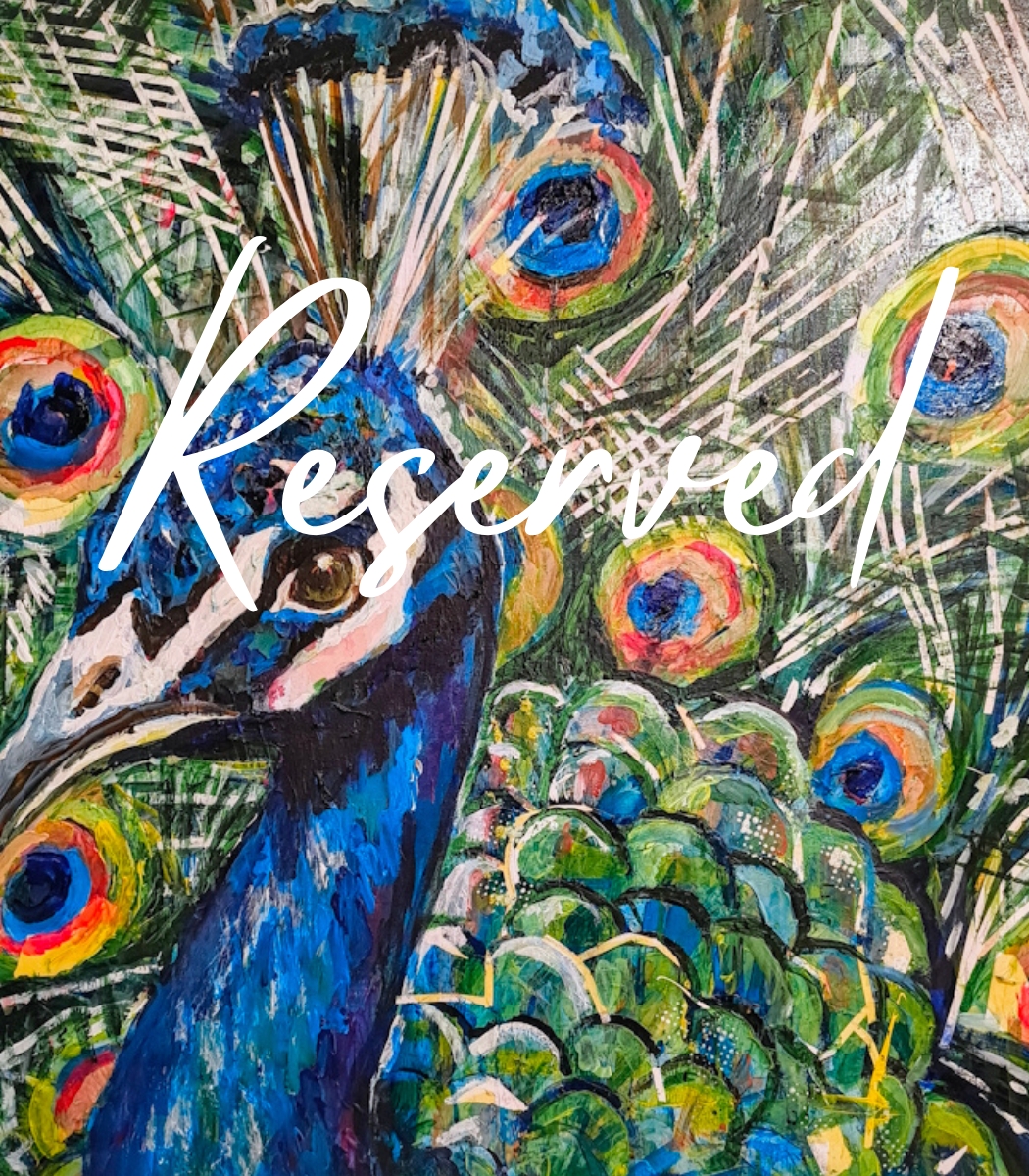 Peacock by Tine Vandamme
